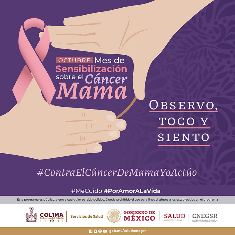 Observo, toco y siento.