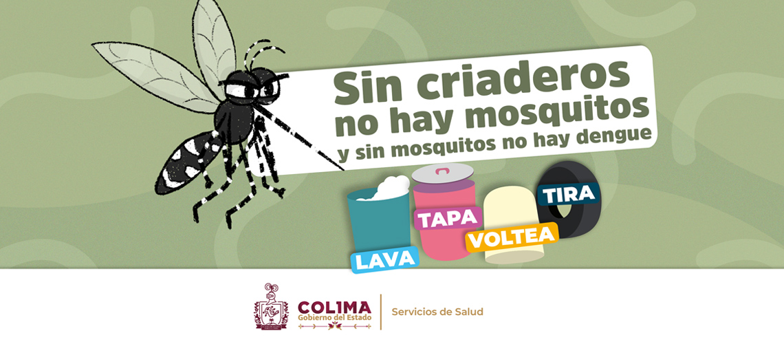 Sin criaderos no hay mosquitos, y sin mosquitos no hay dengue, zika y chikungunya