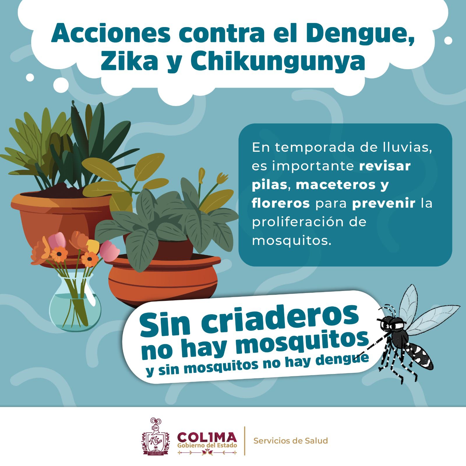 Acciones contra el dengue, zika y chikungunya