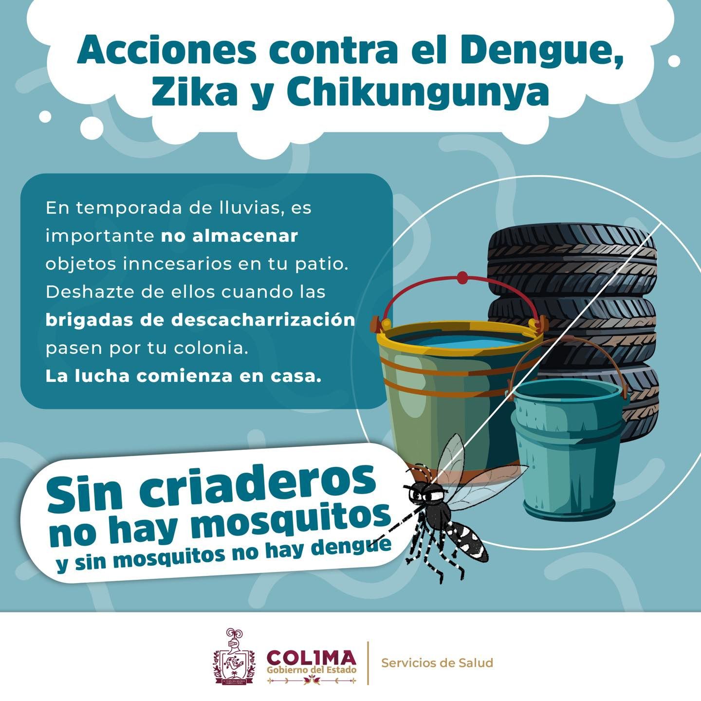 Acciones contra el dengue, zika y chikungunya