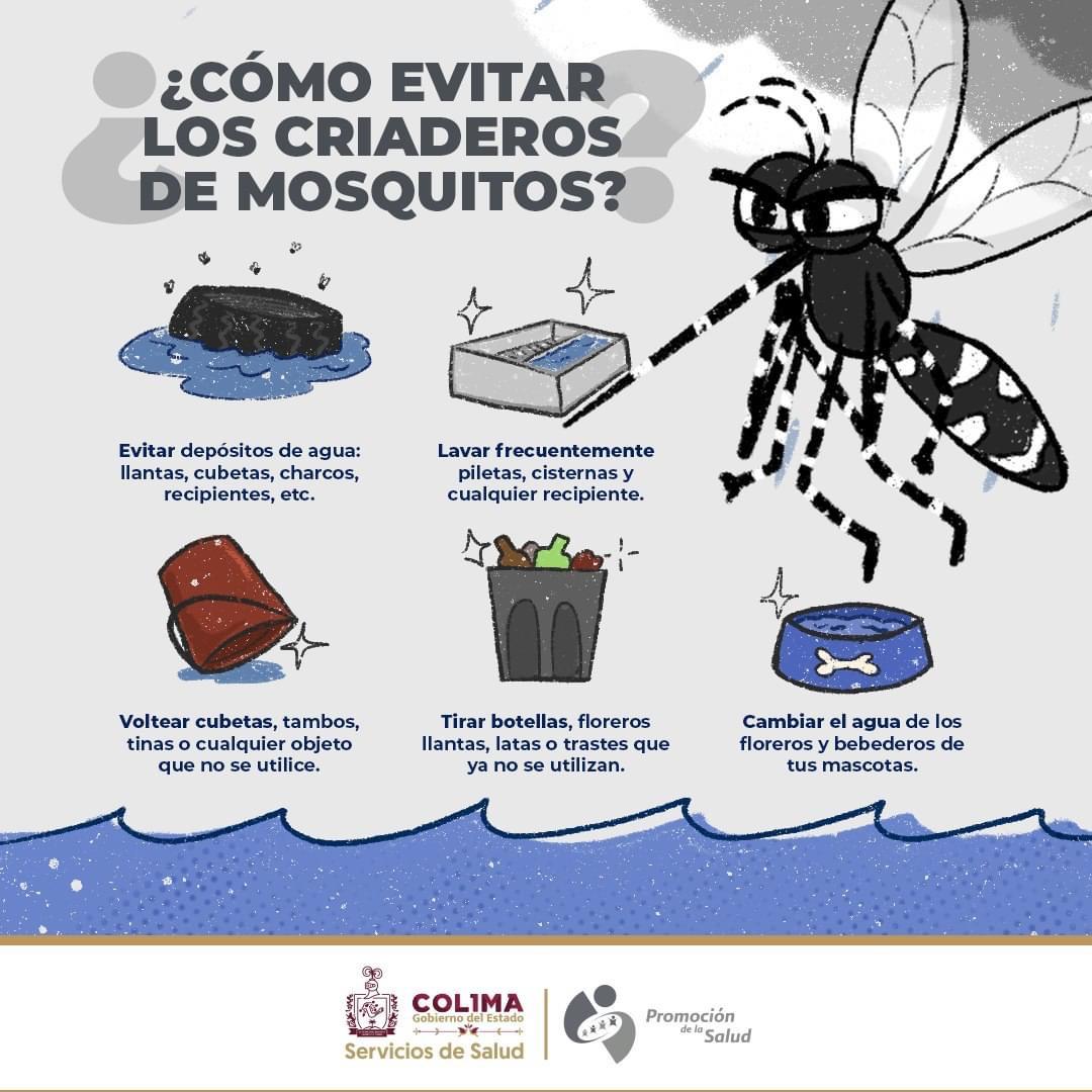 Evita criaderos de mosquitos