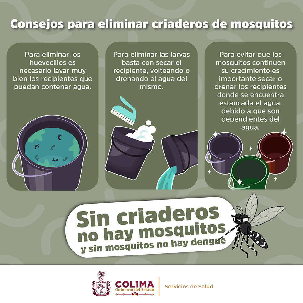 ¿Cómo eliminar criaderos de mosquitos?