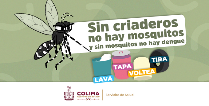¡Sin criaderos no hay mosquitos! ¡Todas y todos contra el dengue, zika y chikungunya!